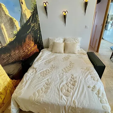 Le Donjon De L'ancien Pont Appartement Chauvigny